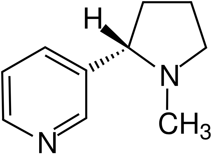 Nicotine molecular art